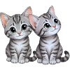 Kitten siblings