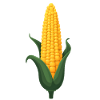 Maïs