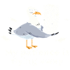 Möwe Geduld am Ende