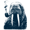 Walrus Captain
