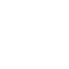 Koala Evolution
