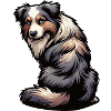 Australian Shepherd Aussie Aussiebesitzer Aussies