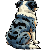 Australian Shepherd Aussie Aussiebesitzer Aussies