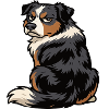 Australian Shepherd Aussie Aussiebesitzer Aussies