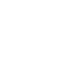 Marius Diamant Logo Vogel