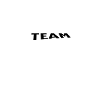 Team Bride