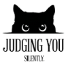 Black Cat Judging You Silently