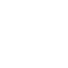 Viking Ship