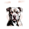Pitbull Terrier Race de chien pittie