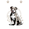 Pitbull Terrier Pittie Dog Breed