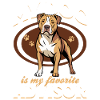 Pitbull Terrier Pittie Dog Breed