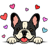 Französische_Bulldogge_Pfoten_Herz-noir