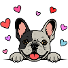 Französische_Bulldogge_Pfoten_mit_Herz_schwatzwei ß