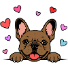 Französische_Bulldogge_Pfoten_mit_Herz_braun