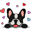 Französische_Bulldogge_Pfoten_mit_Herz_schwarz