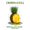 Crowns & Chill: Pineapple Tropical Print