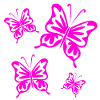 Schmetterlinge