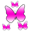 Schmetterlinge
