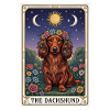 Dackel Tarotblumen Mondschein