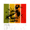 Mallard Duck Stockente