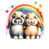 Dwarf Ram Rabbit Gift