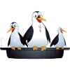 Infusion Pinguine im Bad