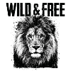 Wild And Free Lion