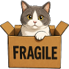 Cat in a box