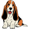 Basset Hound_Hund_sitzendd_farbig
