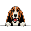 Basset-Hound_Hund_mit_Pfoten_farbig