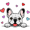 Französische_Bulldogge_Pfoten_mit_Herz_weiss