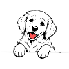 Golden_Retriever_Welpen_Pfote_weiss