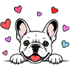 Französische_Bulldogge_Pfoten_mit_Herz_weiss