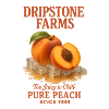Peach Fruit Summer Retro