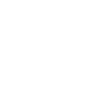 Turtle Lives Matter