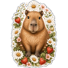 Capybara Erdbeeren Gänseblümchen Tierfreund