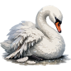 Swan with broken wing