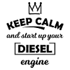 Sport automobile diesel