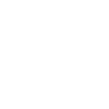 Electric Revolution Logo