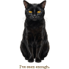Ive Seen Enough Cat