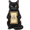 The Cards Say No Cat