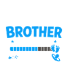 Großer Bruder Level-Ladung 2027