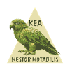 Kea New Zealand bird