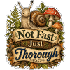 Not Fast Just Thorough