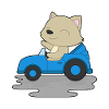 Cat Car