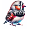 Zebra Finch Motif