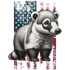 Coati US Nasenbär