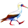 Cadeau des Nazca