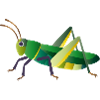 Green grasshopper nature style