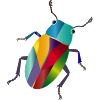 Bunter Juwelkäfer Regenbogen Stil